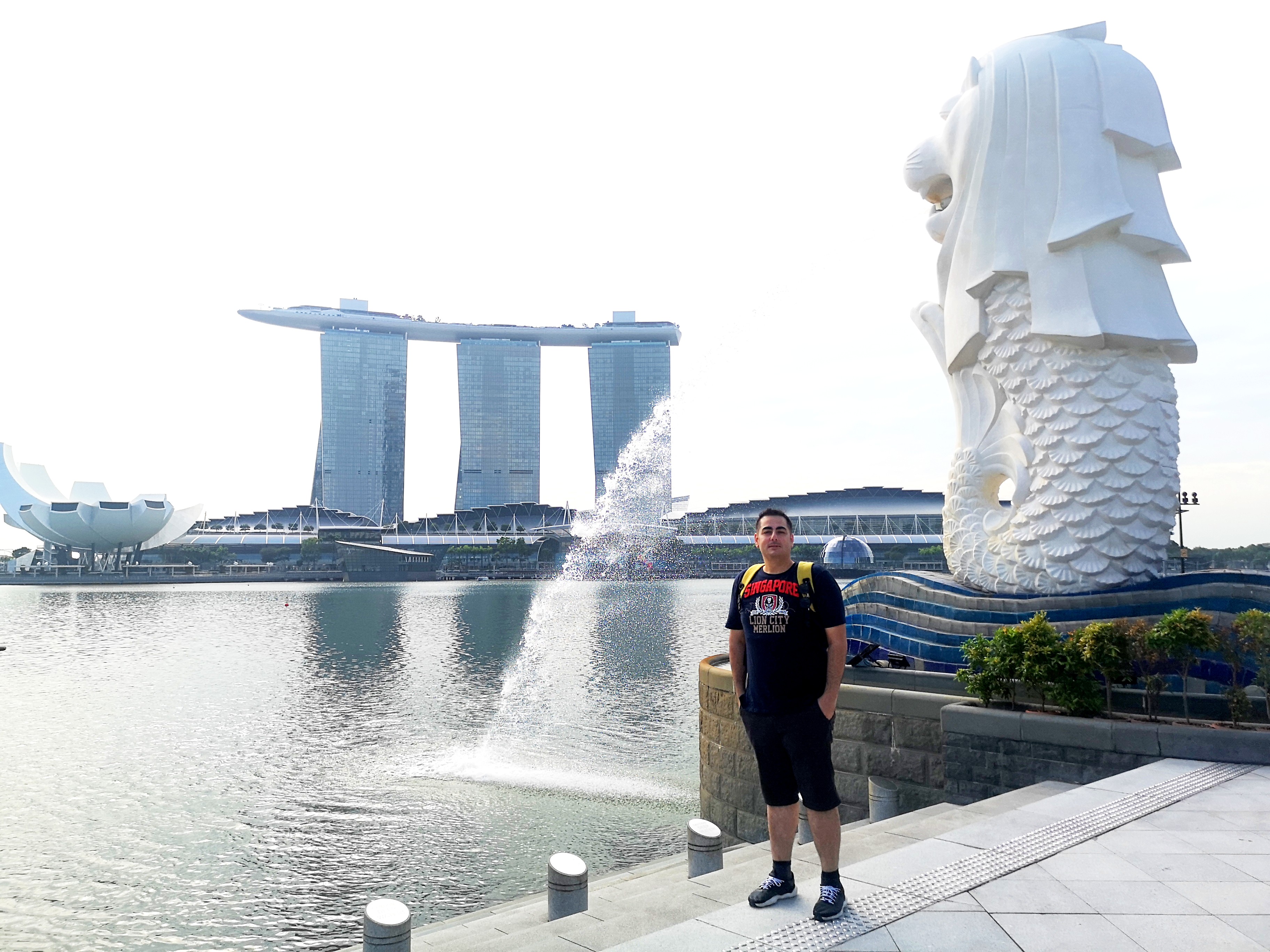 Singapore Marina Bay travel technology professional